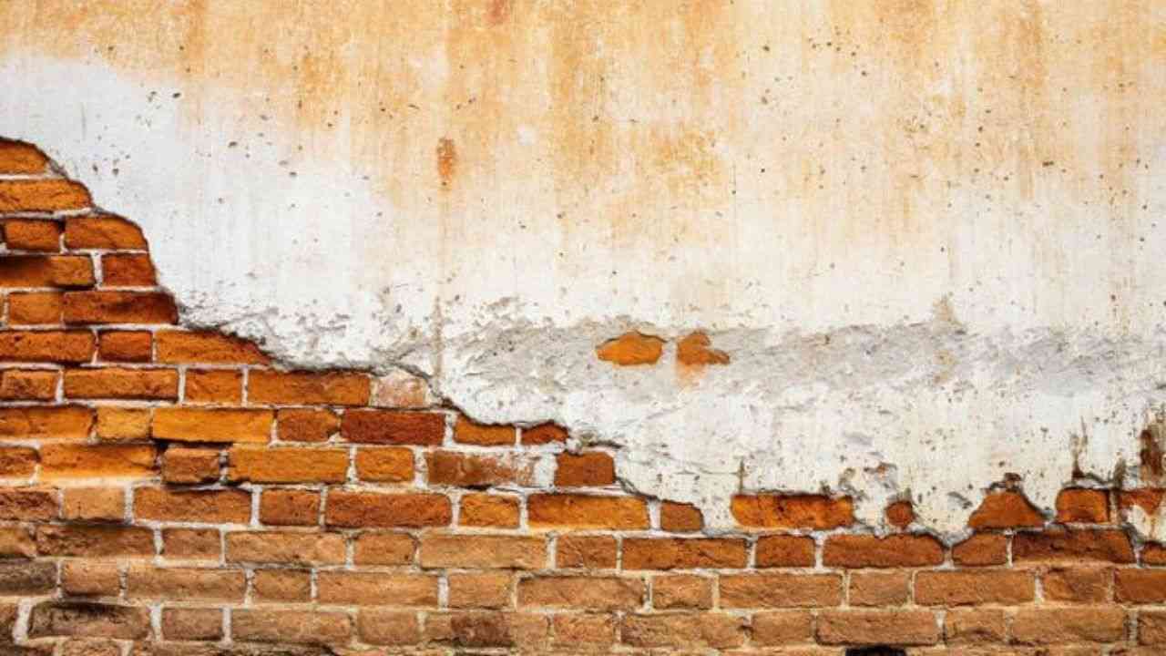 কোথায় এসেছিলাম কী রেখে যাব